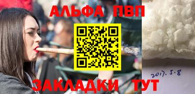 твердый Кингисепп