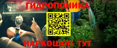 твердый Кингисепп