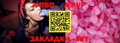 твердый Кингисепп