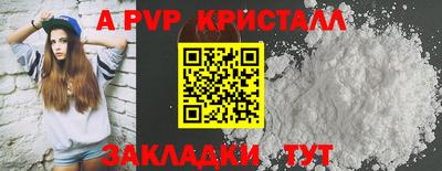 твердый Кингисепп