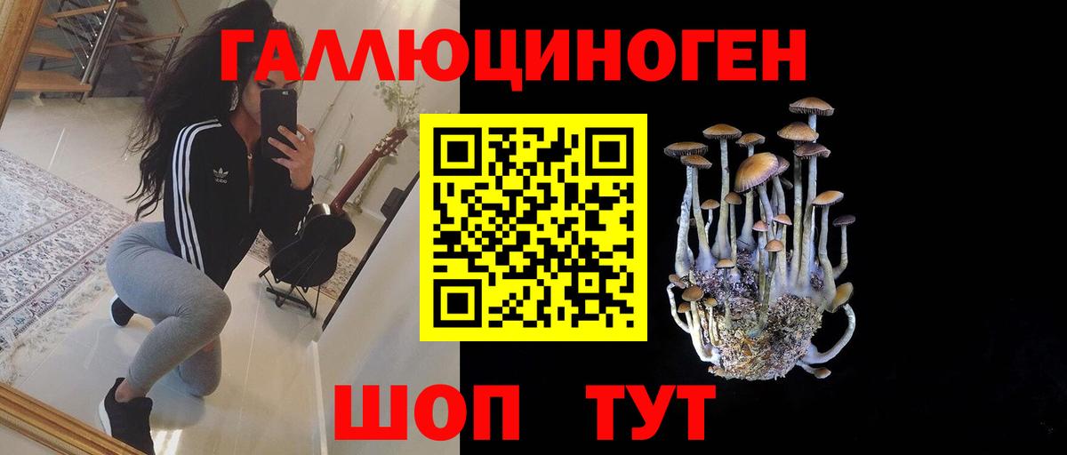 наркошоп  Вход с VPN  Псилоцибиновые грибы Psilocybe  Кировск  Галлюциногенные грибы Cubensis 